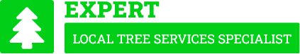 Bay of Plenty Tree Services - Tree Removal Bay of Plenty